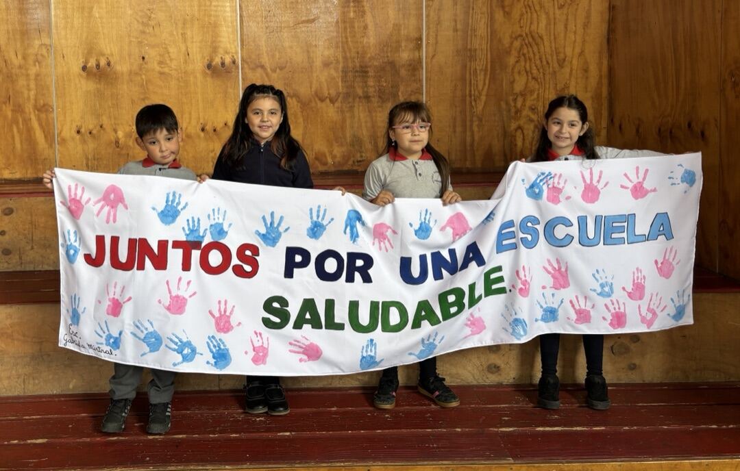 Actividad "Juntos por una Escuela Saludable" · Galvarino 2025