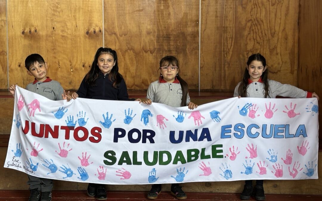 Actividad "Juntos por una Escuela Saludable" · Galvarino 2025