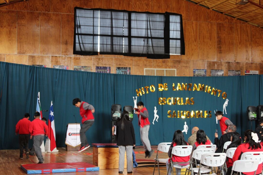 Actividad "Juntos por una Escuela Saludable" · Galvarino 2025